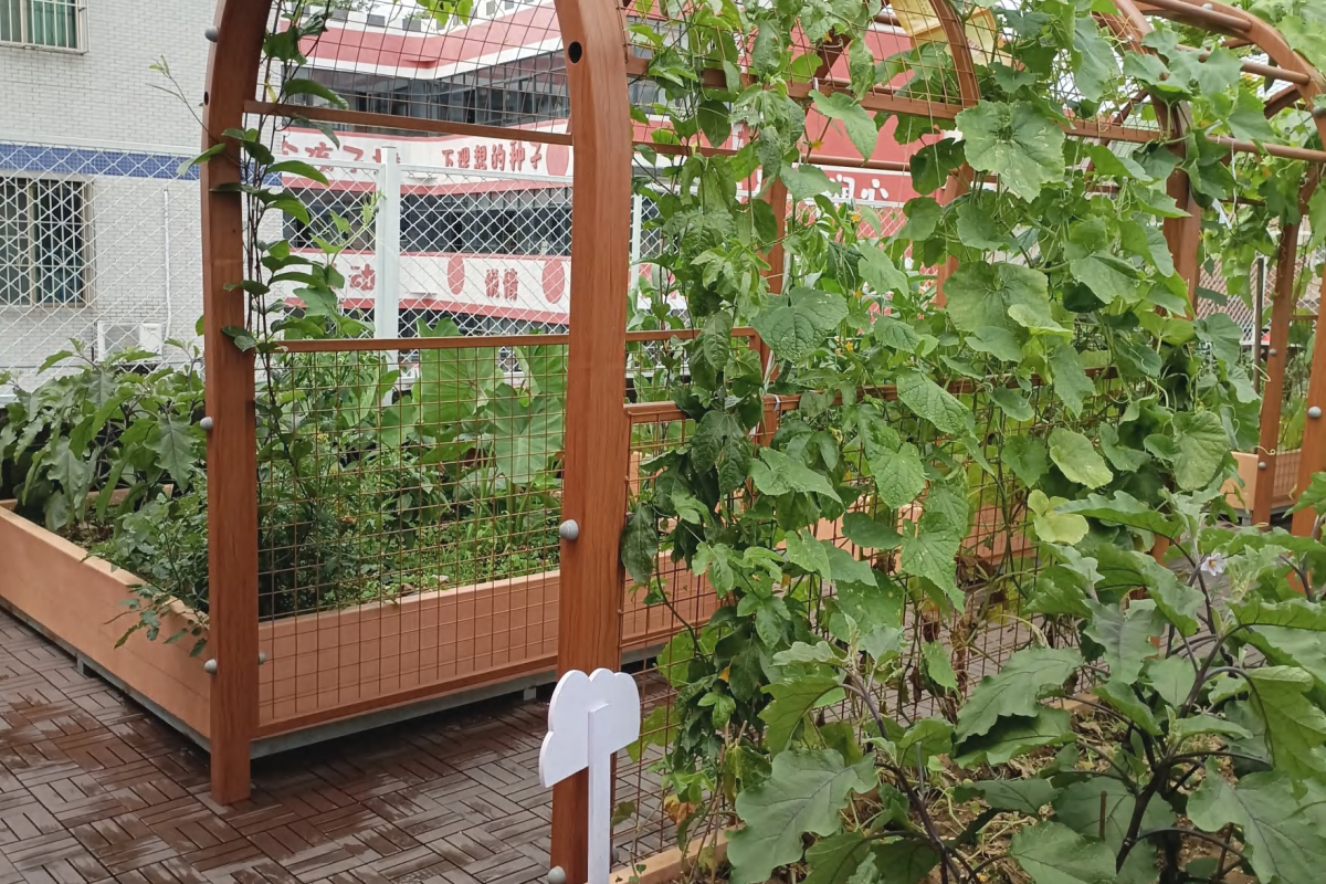 ⼴州南沙区·榄核中⼼幼⼉园